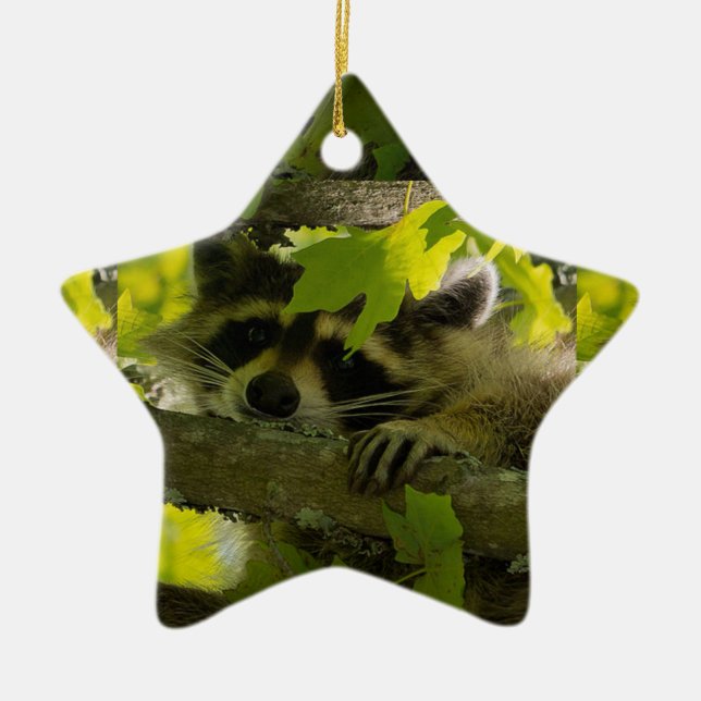 Baby Roccoon Ceramic Ornament (Front)