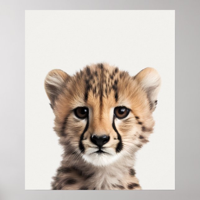 Baby Safari African Jungle Animals  Cheetah  Poster (Front)