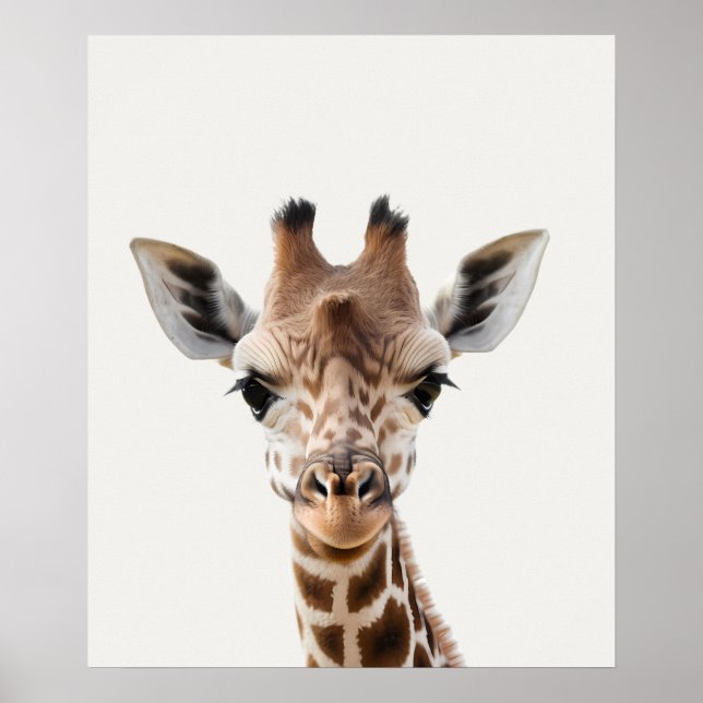 Baby Safari African Jungle Animals Giraffe Poster (Front)