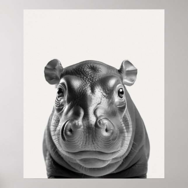 Baby Safari African Jungle Animals Hippopotamus  Poster (Front)