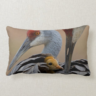 Baby Sandhill Lumbar Cushion