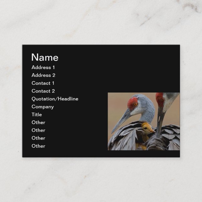 Baby Sandhill with Mum Calling Card (Front)