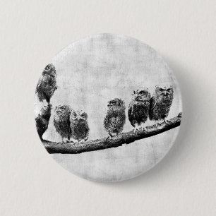 Baby Screech Owls Button
