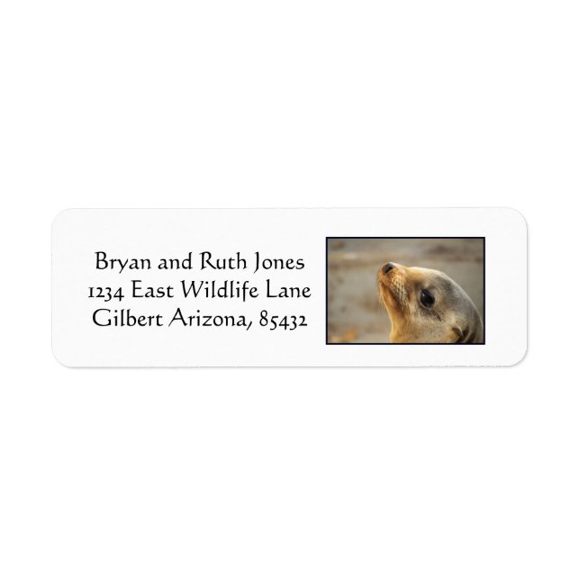 Baby Sea Lion Face Return Address Label (Front)
