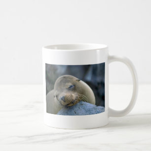 Baby sea lion, Galapagos Islands Coffee Mug