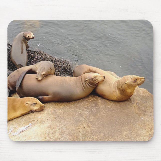 Baby Sea Lions Mouse Pad (Front)