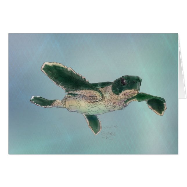 Baby Sea Turtle (Front Horizontal)