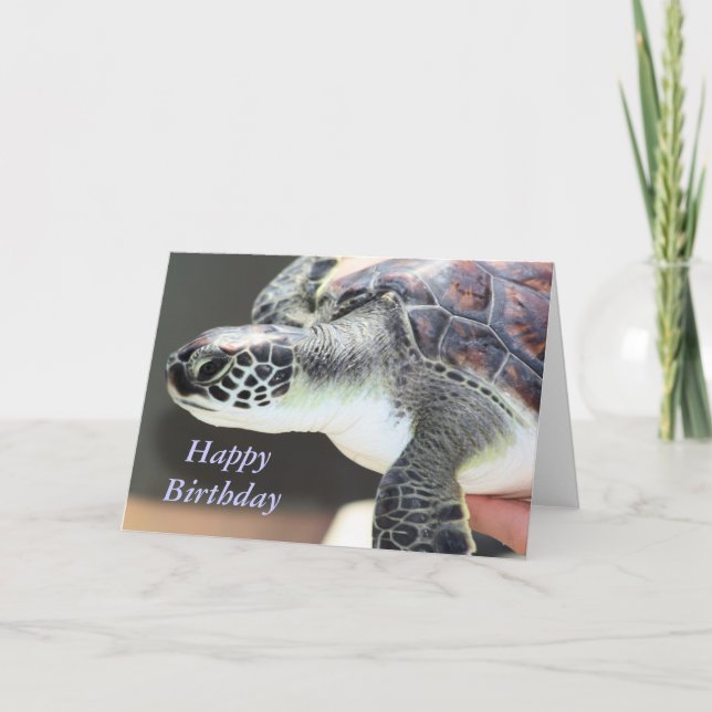 Baby Sea Turtle Birthday Card (Front)