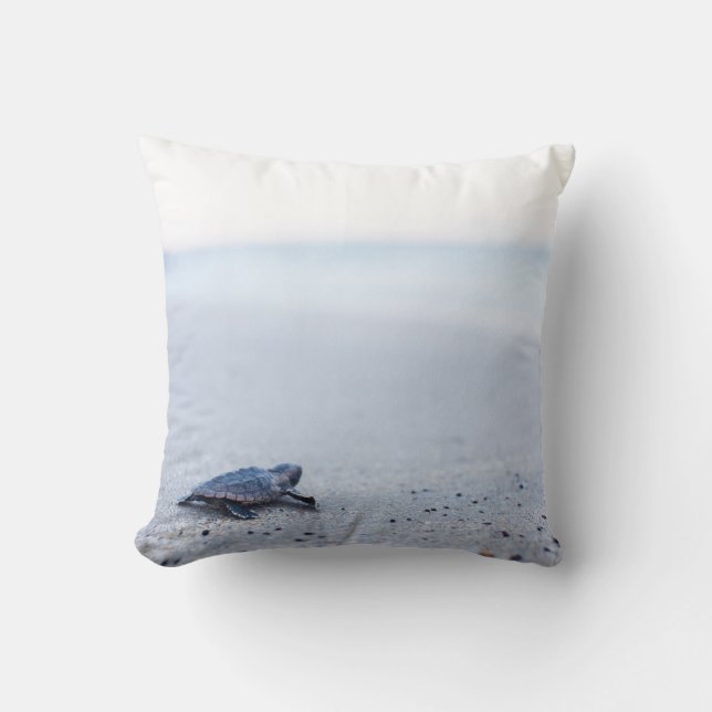 baby sea turtle cushion (Front)