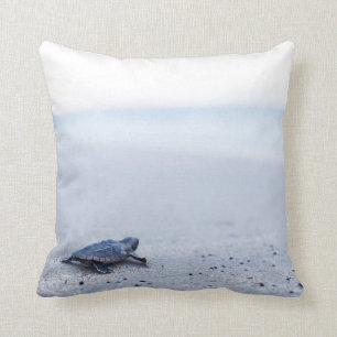 baby sea turtle cushion
