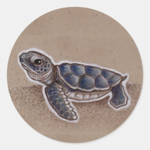Baby Sea Turtle Drawing Classic Round Sticker