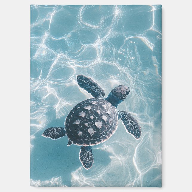 Baby Sea Turtle in Clear Water Magnet (Front)