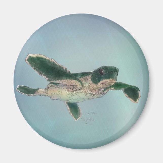 Baby Sea Turtle Magnet (Front)