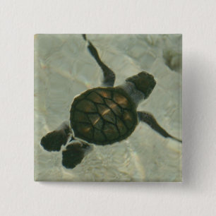 Baby Sea Turtle Swimming Out To Sea 15 Cm Square Badge