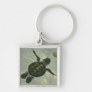 Baby Sea Turtle Swimming Out To Sea Key Ring