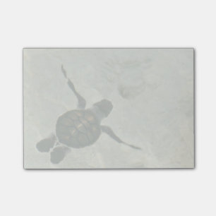 Baby Sea Turtle Swimming Out To Sea Post-it Notes
