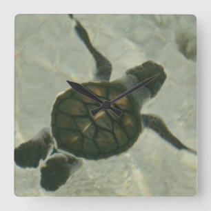 Baby Sea Turtle Swimming Out To Sea Square Wall Clock