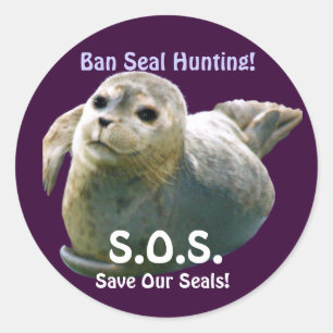BABY SEAL Anti Seal-Hunt Wildlife Sticker