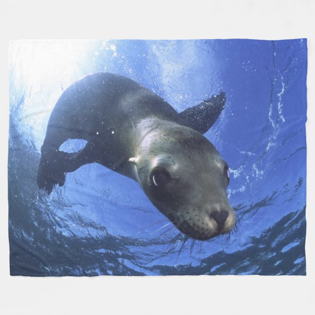BABY SEAL FLEECE BLANKET (Front (Horizontal))