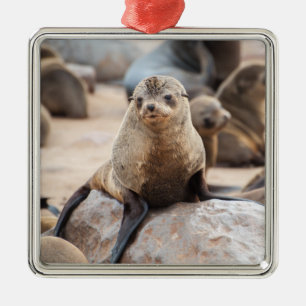 Baby Seal Metal Ornament