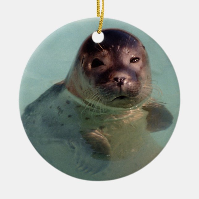 Baby Seal Ornaemnt Ceramic Tree Decoration (Front)