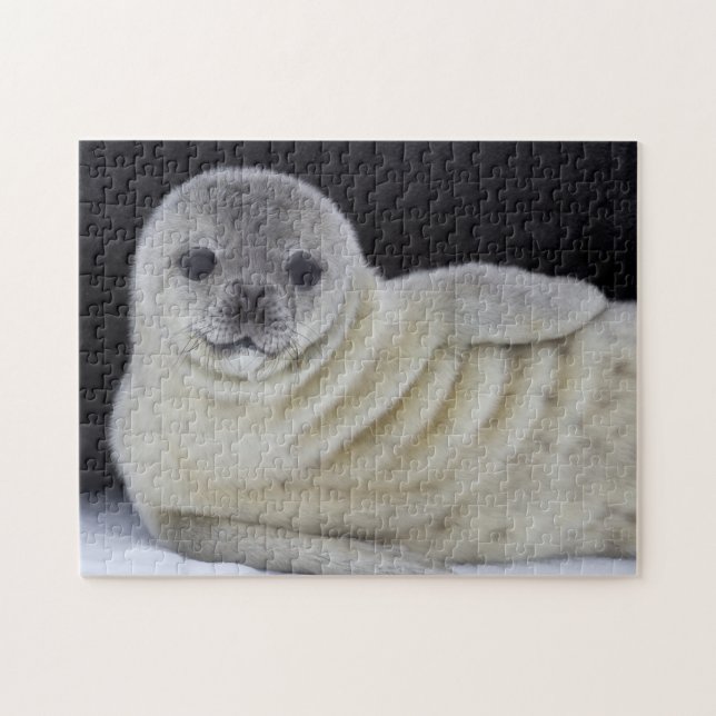 Baby Seal Smile Jigsaw Puzzle (Horizontal)