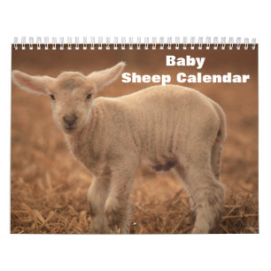 Baby Sheep Lamb 2027 Calendar