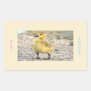 Baby Shower Gosling Stickers