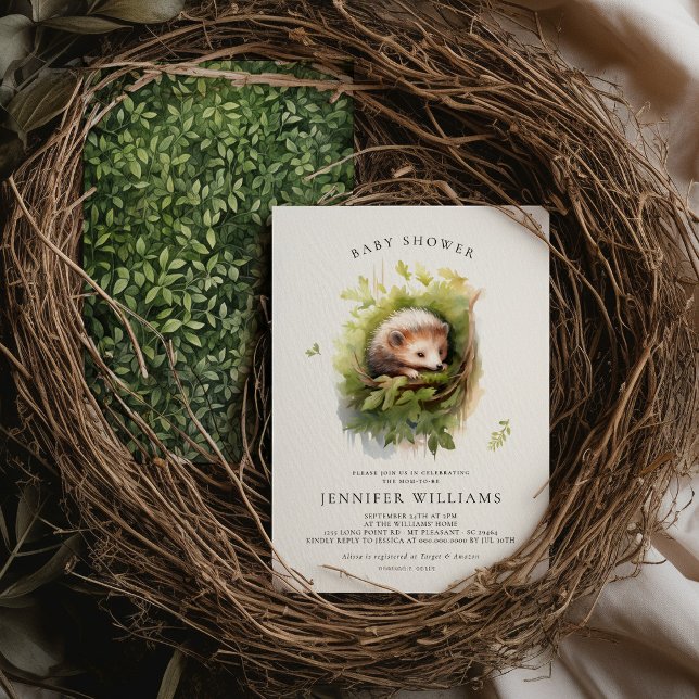 Baby Shower Hedgehog Whimsical Watercolor (Creator Uploaded)