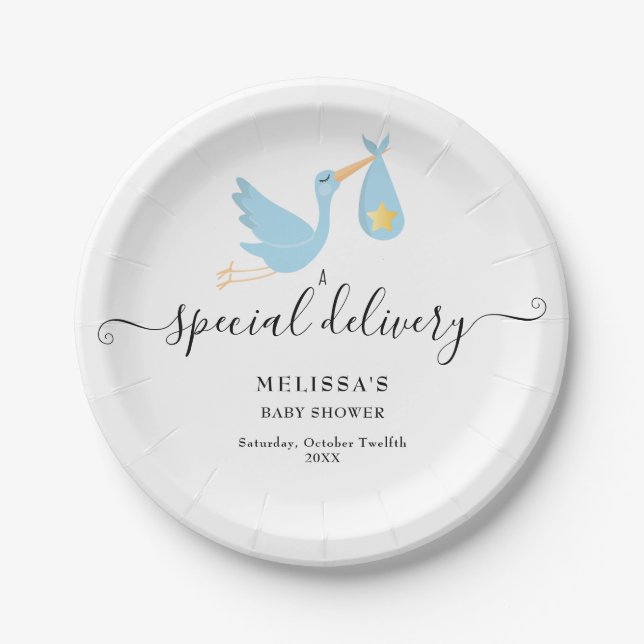 Baby Shower Special Delivery Stork Star Sprinkle Paper Plate (Front)