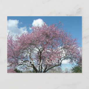 baby shower, spring cherry blossoming tree invitation postcard