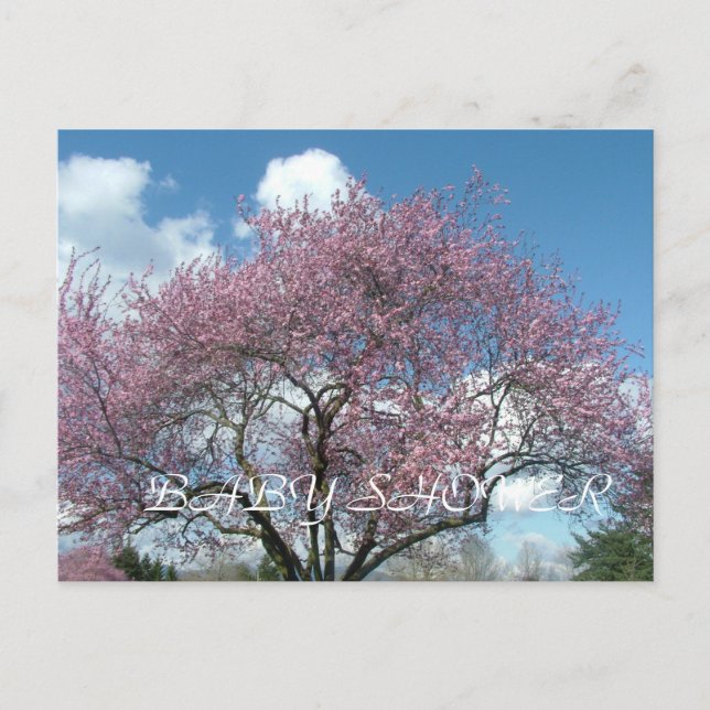 baby shower, spring cherry blossoming tree invitation postcard (Front)