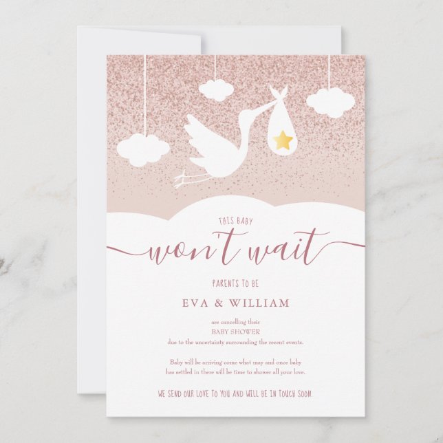 Baby Shower, Sprinkle Cancellation Stork Glitter Invitation (Front)
