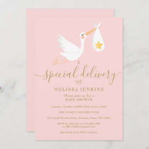 Baby Shower Sprinkle Special Delivery Stork Pink Invitation