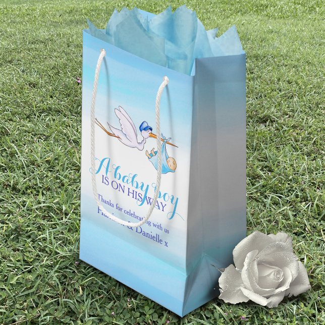 Baby Shower stork delivery baby boy art plate Small Gift Bag (Creator Uploaded)