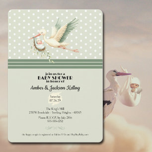Baby Shower Stork Special Delivery  Invitation