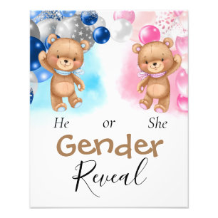 Baby Shower Teddy Balloons Gender Reveal Photo Print