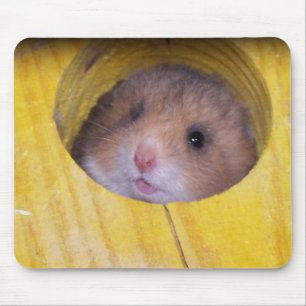 Baby Sierra Mouse Pad