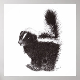 Baby Skunk Poster