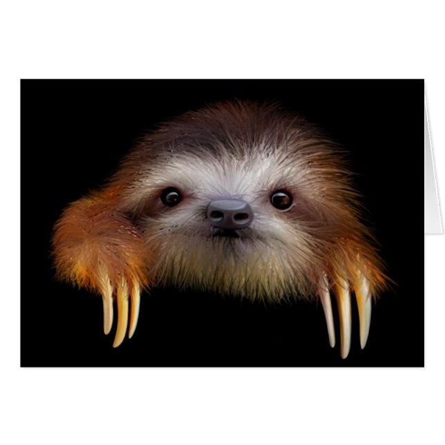 Baby Sloth (Front Horizontal)