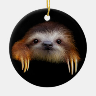Baby Sloth Ceramic Tree Decoration