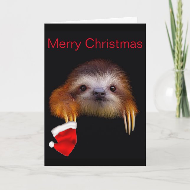 Baby Sloth Christmas Card (Front)