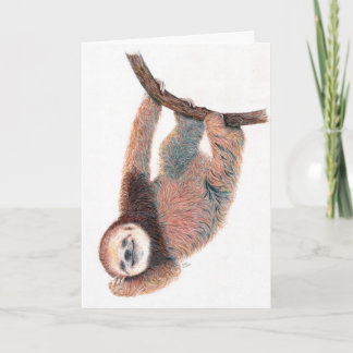 Baby sloth grooming itself card