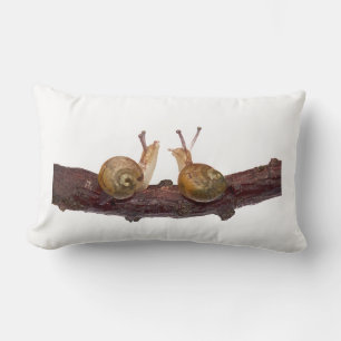 Baby Snail Talk (choose colour) Lumbar Cushion