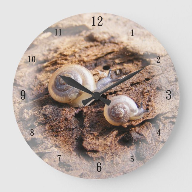 Baby Snails Wall Clock (Front)