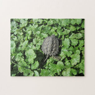 Baby Snapping Turtle Puzzle