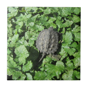 Baby Snapping Turtle Tile