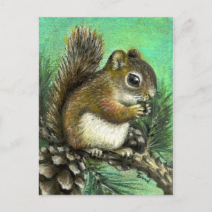 Baby squirrel and cones postcard