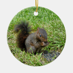 Baby squirrel ceramic ornament