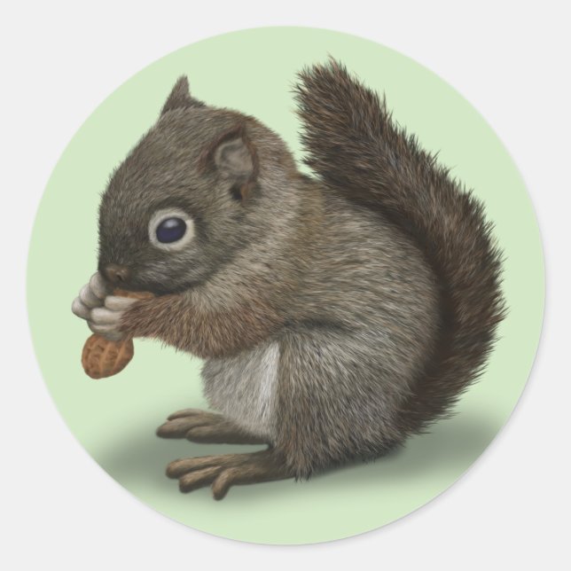 Baby Squirrel Classic Round Sticker (Front)